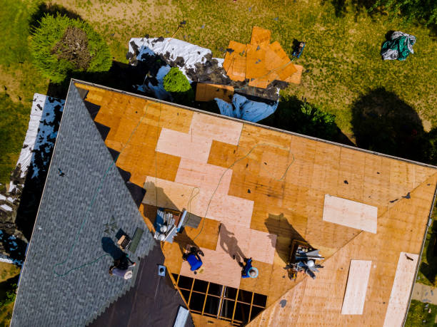 Professional Roofing Contractor in Denton, NC