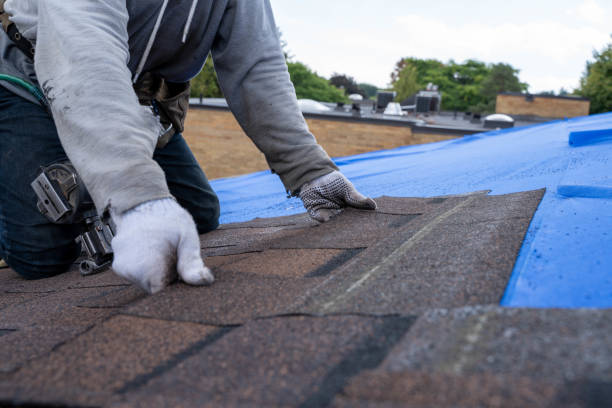 Best Roofing Contractor Near Me  in Denton, NC
