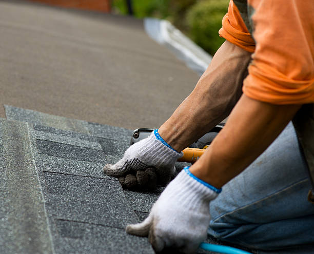 Best Roof Gutter Cleaning  in Denton, NC