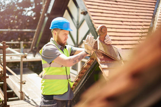 Best Roof Repair Services  in Denton, NC